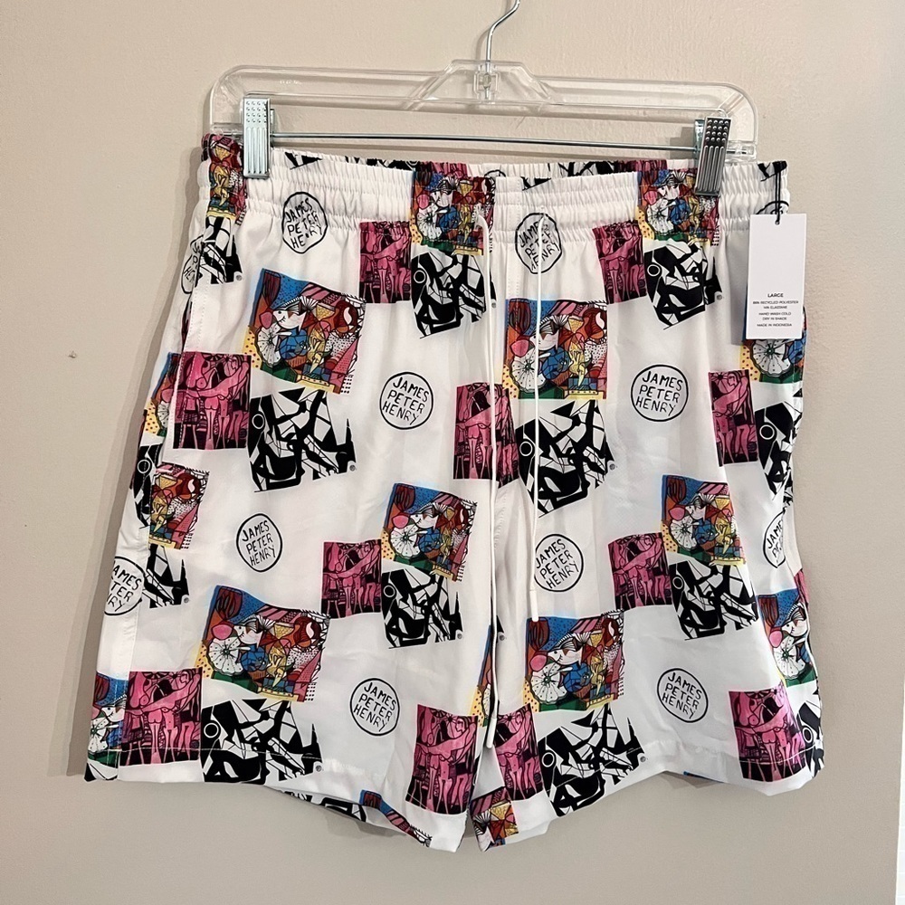 ☀️Swiminista x James Peter Henry Abstract Artwork Toss Board Shorts NWT